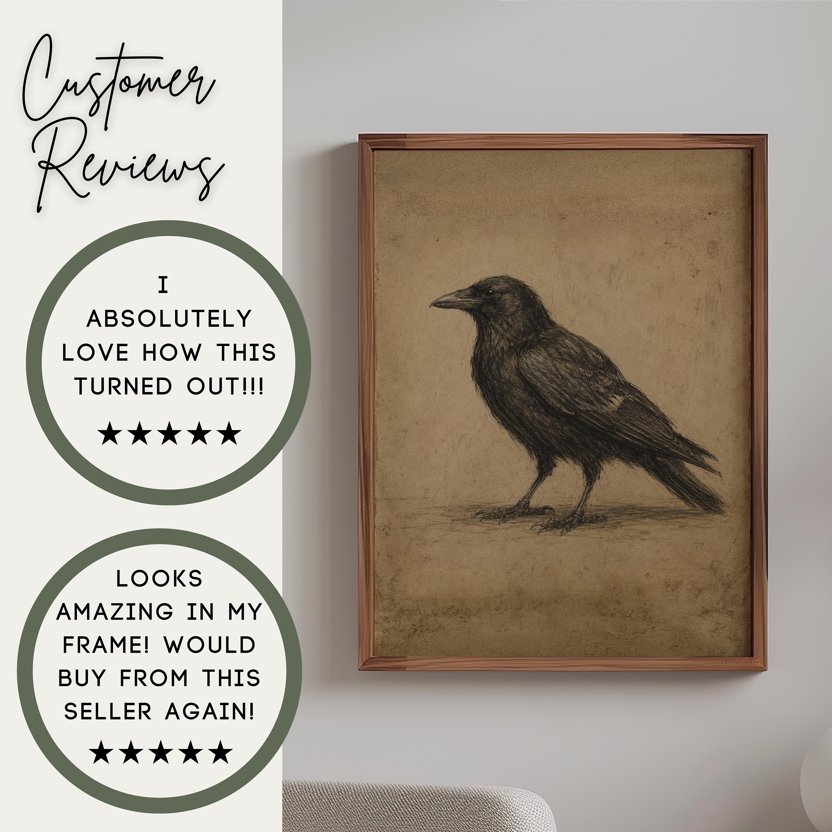 Vintage Crow Sketch Wall Art | Gothic Raven Print | Dark Cottagecore Decor | Antique Bird Illustration | Rustic Nature Artwork