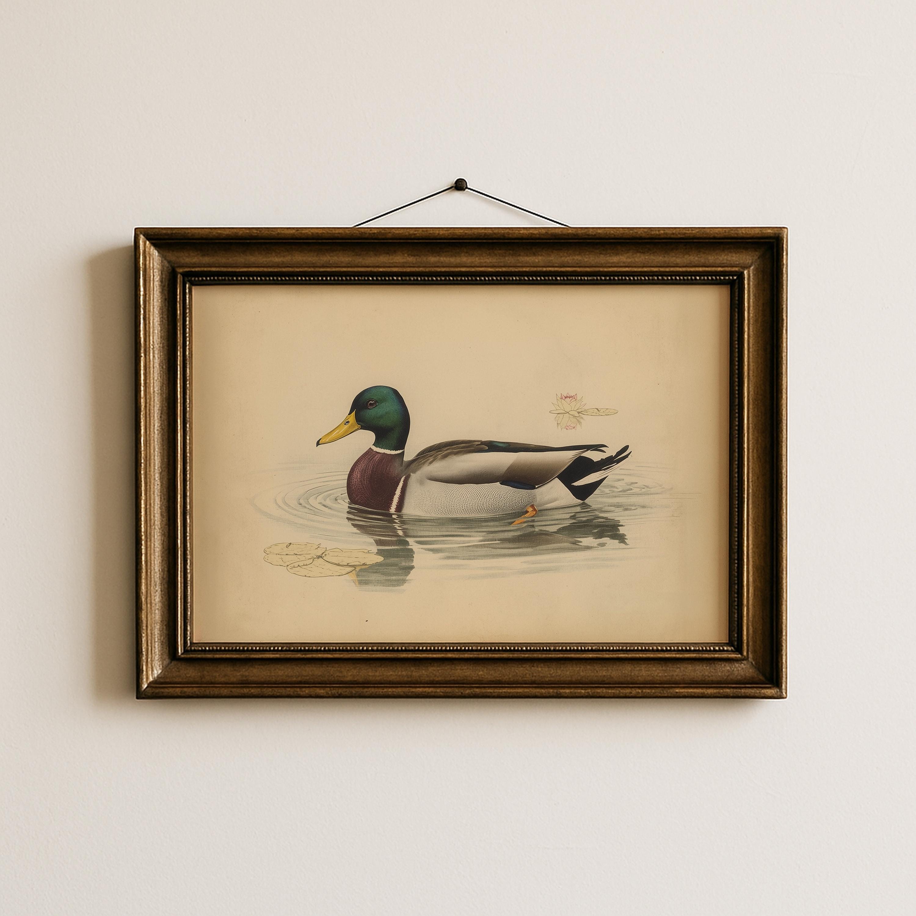 Mallard Duck Wall Art | Vintage Waterfowl Print | Rustic Cabin Decor | Duck Hunting Lodge Artwork