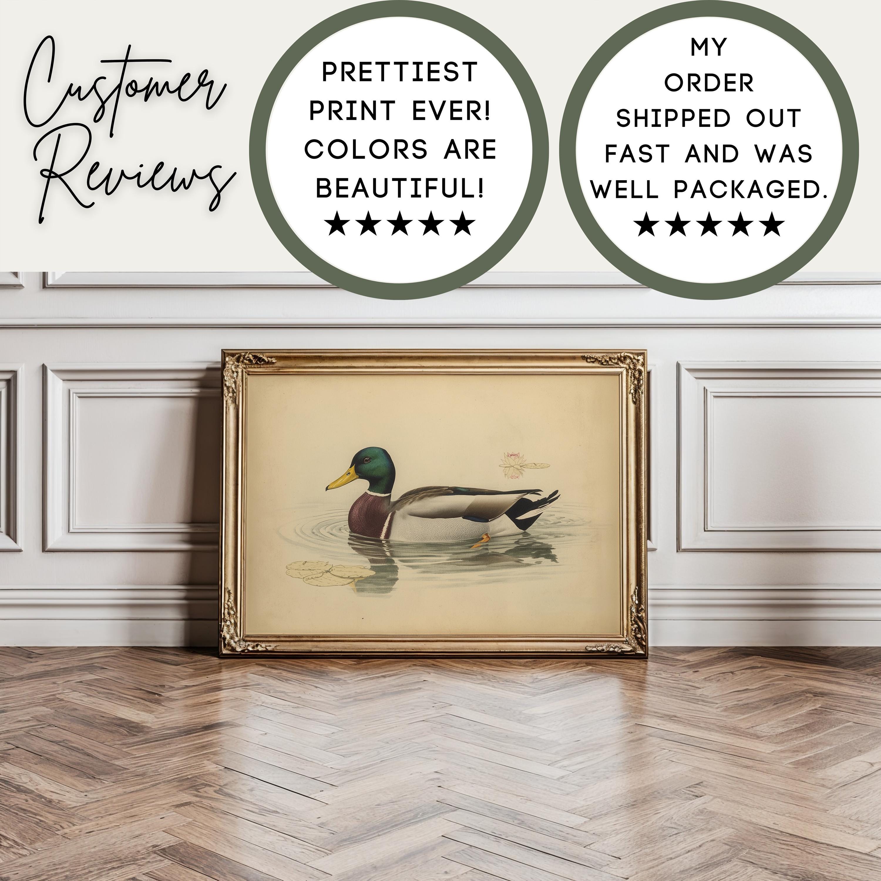 Mallard Duck Wall Art | Vintage Waterfowl Print | Rustic Cabin Decor | Duck Hunting Lodge Artwork