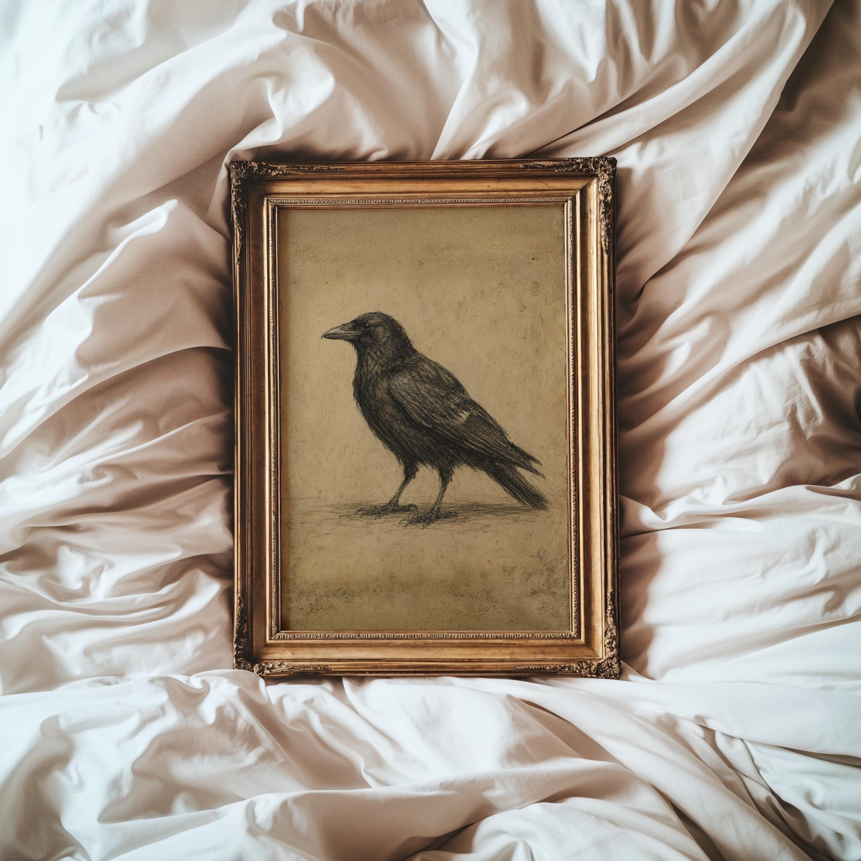 Vintage Crow Sketch Wall Art | Gothic Raven Print | Dark Cottagecore Decor | Antique Bird Illustration | Rustic Nature Artwork