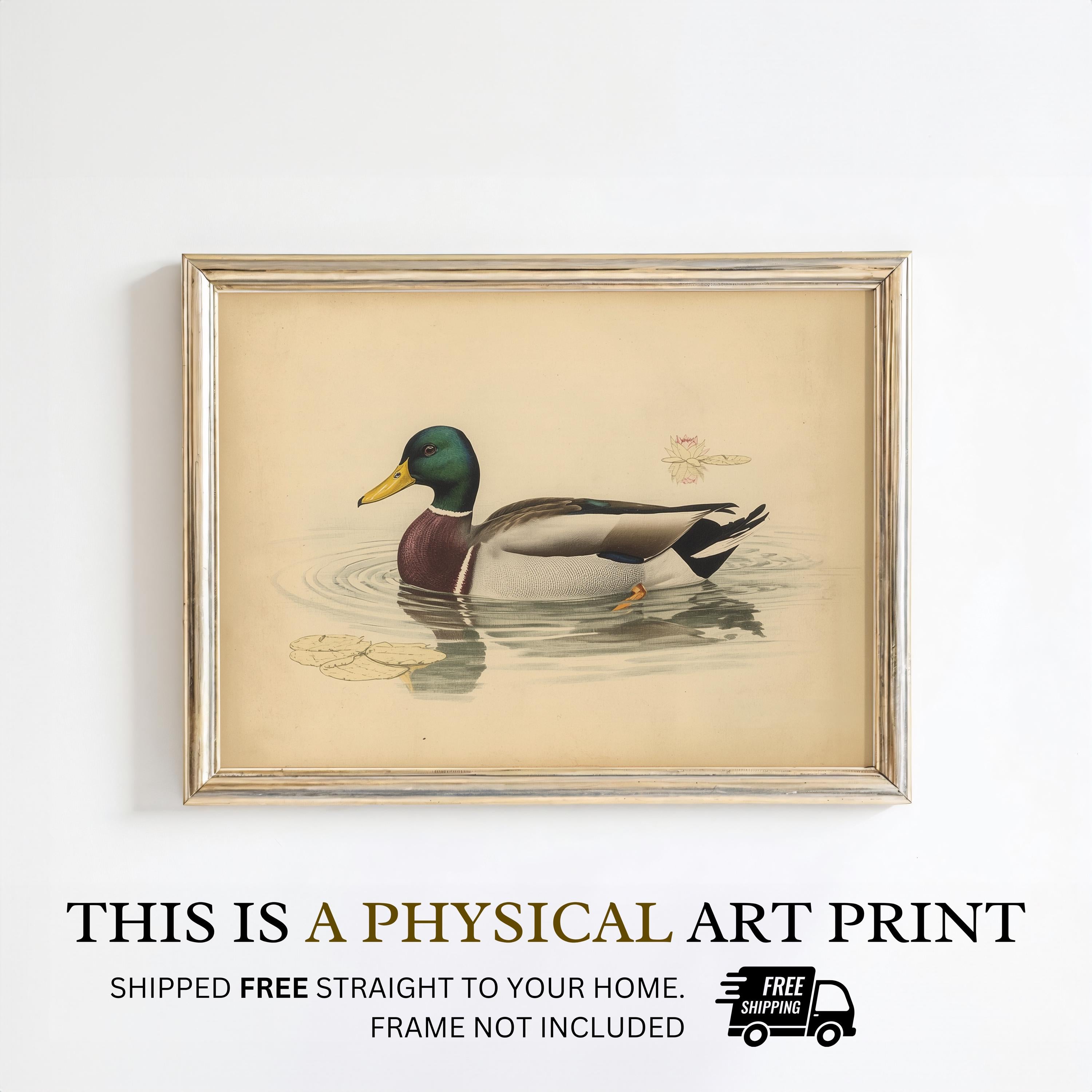 Mallard Duck Wall Art | Vintage Waterfowl Print | Rustic Cabin Decor | Duck Hunting Lodge Artwork
